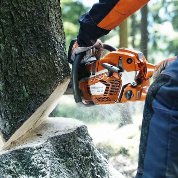 Tronçonneuse bois 50cm - Husqvarna 562 XP